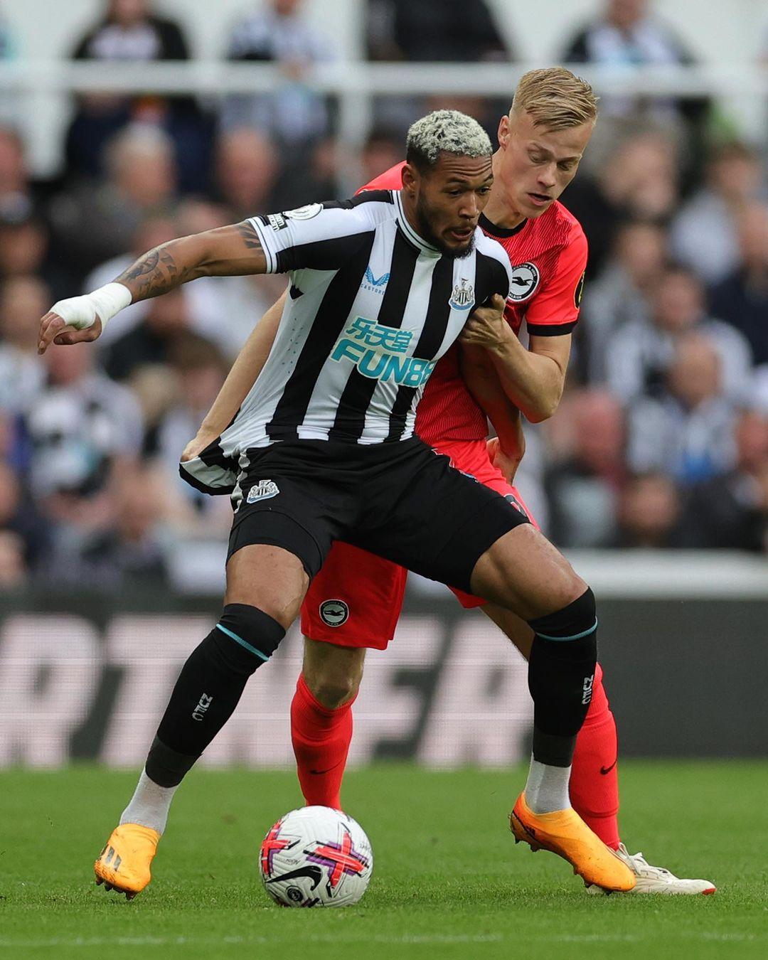 中国食品科学技术学会：保障特殊时期食品供应及安全